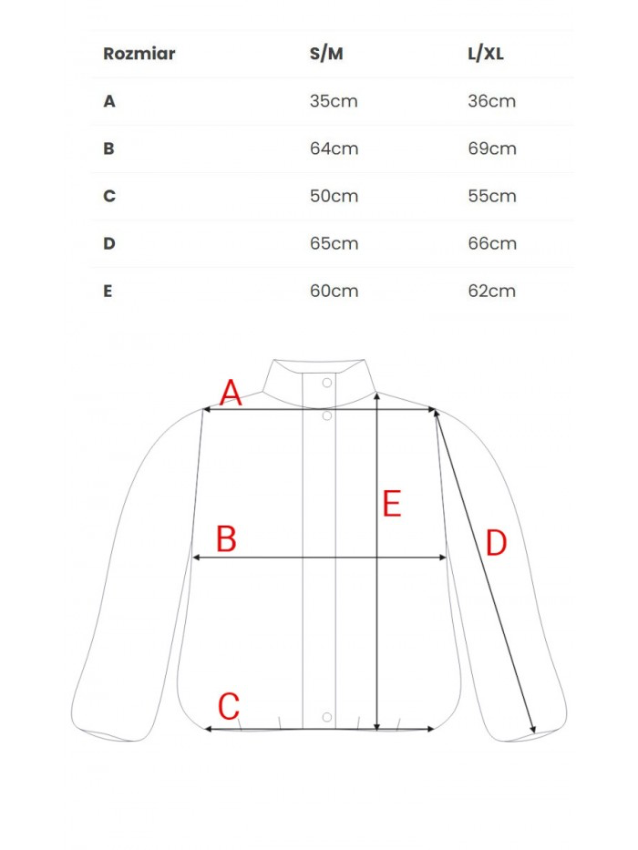 Jacket model 216572 Moe